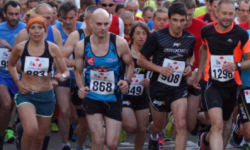 athlete, marathon, olympic, endurance, foot race, race, runner, competition athlete, marathon, olympic, endurance, foot race, race, runner, competition
