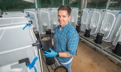 Ecologist Dr Adam Frew will receive $453,582 to further his work into using fungi to enhance plant resistance to insects. Ecologist Dr Adam Frew will receive $453,582 to further his work into using fungi to enhance plant resistance to insects.