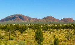 kata tjuta kata tjuta