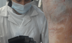 A new meat eating quality probe (MEQ) 