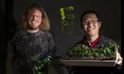 Image: Dr Peter Mabbitt and Dr Kai Xun Chan, with the Arabidopsisthaliana model plant used in their research. The crystal structure of the stress sensor, the SAL1 enzyme, is displayed in the background.