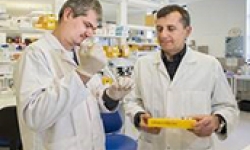 Image: Dr Nikolay Shirokikh and Professor Thomas Preiss.