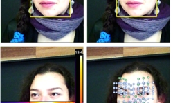 Image: Example of image and video analysis to automatically extract: face, eyes and pupil dilation; heart rate dynamics; Infrared thermography; and micro-facial movements. Image credit: The University of Melbourne.