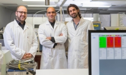 Image: Dr Moshen Rahmani, Associate Professor Antonio Tricoli and Zelio Fusco (pictured left to right). Image credit: Lannon Harley, The Australian National University. Image: Dr Moshen Rahmani, Associate Professor Antonio Tricoli and Zelio Fusco (pictured left to right). Image credit: Lannon Harley, The Australian National University.