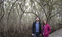 Image: Associate Professor Jose Rodriguez and Associate Professor Patricia Saco in the mangroves. Image credit: The University of Newcastle. Image: Associate Professor Jose Rodriguez and Associate Professor Patricia Saco in the mangroves. Image credit: The University of Newcastle.