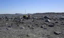 Image: Adams Flat. Image courtesy: Phil O’Brien.