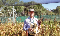 Image: Curtin University Associate Professor Stuart Johnson. Image credit: Curtin University. Image: Curtin University Associate Professor Stuart Johnson. Image credit: Curtin University.