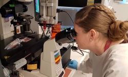 Future Industries Institute researcher Dr Marnie Winter at work in the lab
