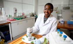 PhD Candidate Vongai Dakwa measures the colour of baby spinach using a colourimeter in a Tasmanian Institute of Agriculture lab. PhD Candidate Vongai Dakwa measures the colour of baby spinach using a colourimeter in a Tasmanian Institute of Agriculture lab.
