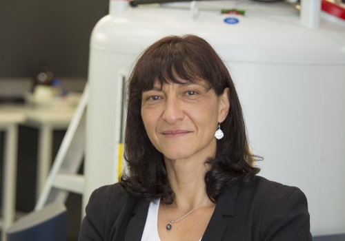 Professor Maria Forsyth. Credit: ARC Industrial Transformation Training Centre in Future Energy Storage Technologies.
