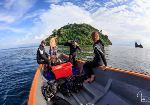 The research team at Kimbe Bay in 2017. Credit: Tane Sinclair-Taylor.