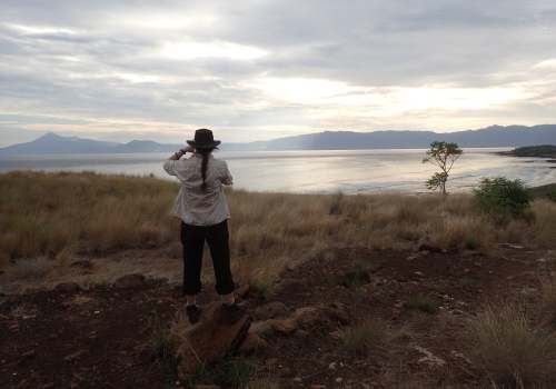 Dr Kealy in the field. Credit: ANU media.