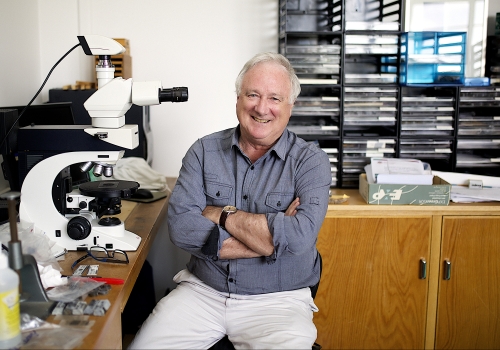 Professor Ross Large