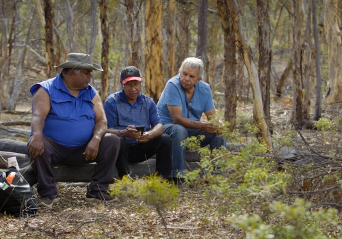 Darryl Kickett (centre) with Narrogin-based Research Assistant and Dryandra Wilman Elder Travis Abraham (left) and Wilman Elder Clive Abraham (right). Credit: Curtin University