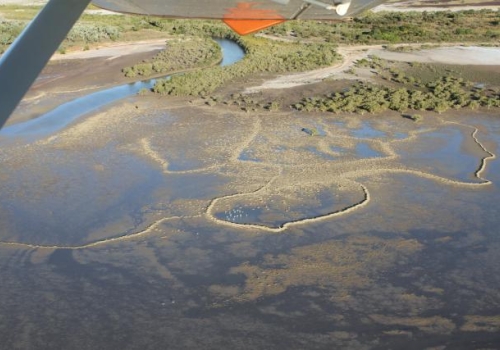 Studying Aboriginal stone-walled fish traps in the Gulf of