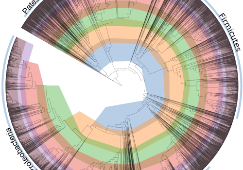 The ‘tree of life’ for the bacterial world, bacteria’s taxonomy in a phylogenetic tree. The ‘tree of life’ for the bacterial world, bacteria’s taxonomy in a phylogenetic tree.