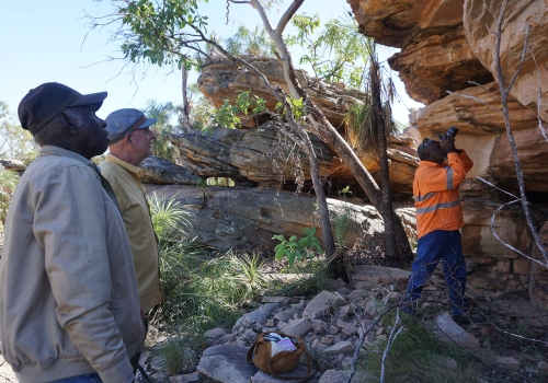Recording rock art at Liwingkinya on Vanderlin Island in Yanyuwa Country with Graham Friday, John Bradley, and Warren Timothy. Credit: Amanda Kearney, June 2019. Recording rock art at Liwingkinya on Vanderlin Island in Yanyuwa Country with Graham Friday, John Bradley, and Warren Timothy. Credit: Amanda Kearney, June 2019.