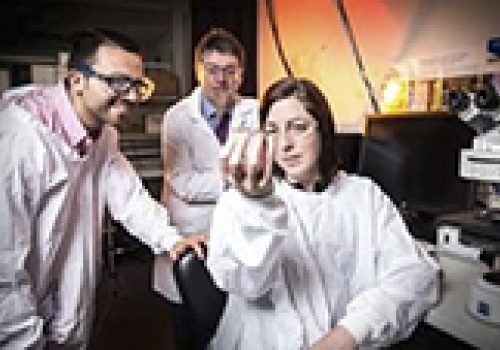 Image caption: ACES Director Professor Gordon Wallace (centre) with Rodrigo Lozano (L) and Elise Stewart (R)