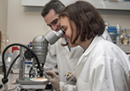 Image caption: 2015 Tall Poppy Dr Caitlin Byrt, with nominator and former award recipient, Associate Professor Matthew Gilliham