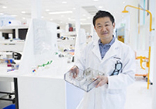 Image: Prof Dayong Jin at his laboratory at UTS Science. Image by Anna Zhu.