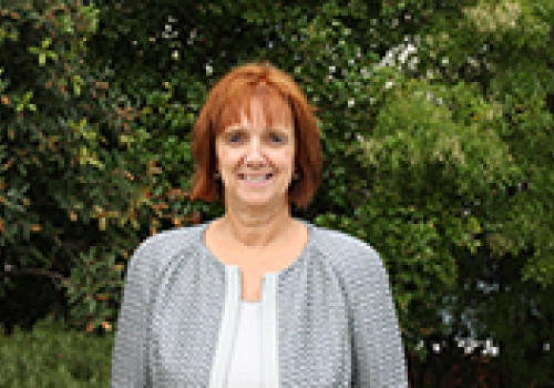 Image: Professor Lynn Meuleners.