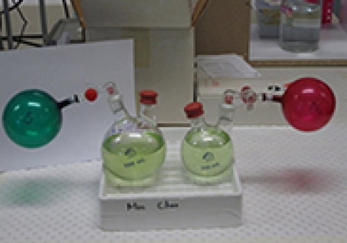 Image: Creating extreme oxygen environments for A. Marina in the lab