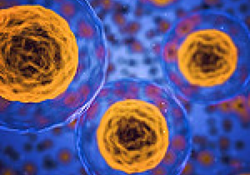 Image: The Cellular Environment