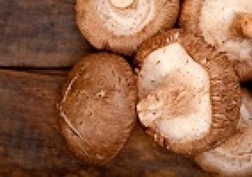 Image:Shiitake Mushrooms Stock Photo.