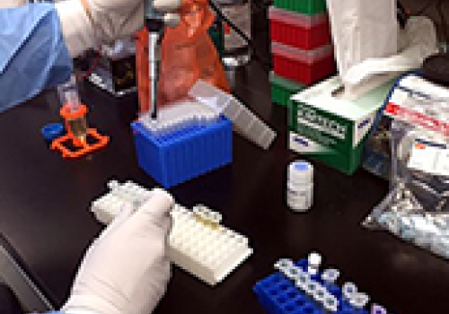 A Zika virus researcher at the NIAID Vaccine Research Center prepares samples. A Zika virus researcher at the NIAID Vaccine Research Center prepares samples.