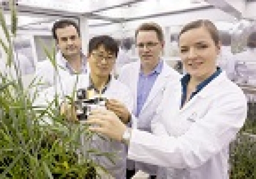 Professor Millar and the team. Professor Millar and the team.