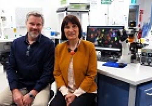 Image: Dr Martin Gosnell and Professor Ewa Goldys. Image: Dr Martin Gosnell and Professor Ewa Goldys. Image credit: www.cnbp.org.au.