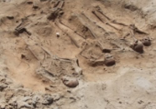 The communal grave discovered by archaeologists was made up of five sets of human remains, along with artefacts. The communal grave discovered by archaeologists was made up of five sets of human remains, along with artefacts.