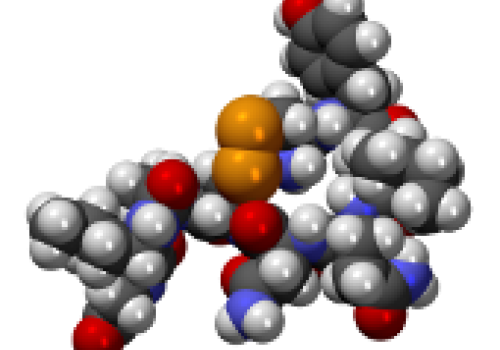 A model of the oxytocin molecule. A model of the oxytocin molecule.