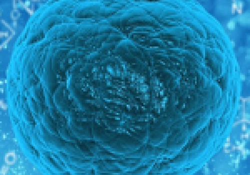 stem cell research paper essay