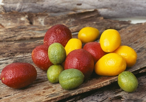 Image: Cultivars of native Australian limes. Image credit: CSIRO (CC BY 3.0). Image: Cultivars of native Australian limes. Image credit: CSIRO (CC BY 3.0).