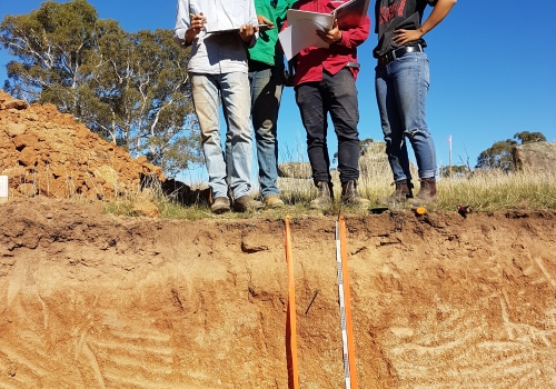 Undergraduate students examining the diversity of Brown Chromosol soil under pasture near Cowra, NSW (Photo by Prof. Budiman Minasny) Undergraduate students examining the diversity of Brown Chromosol soil under pasture near Cowra, NSW (Photo by Prof. Budiman Minasny)