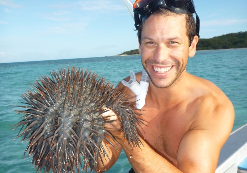 Dr Scott Ling with a crown of thorns starfish Dr Scott Ling with a crown of thorns starfish