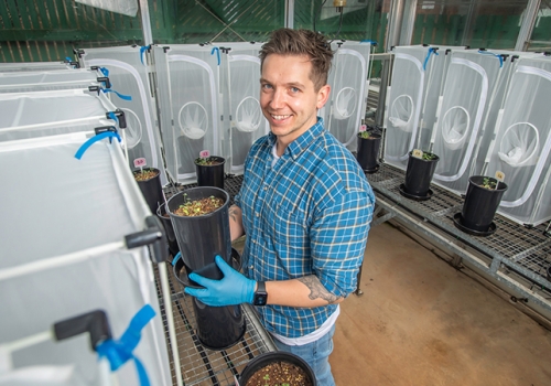 Ecologist Dr Adam Frew will receive $453,582 to further his work into using fungi to enhance plant resistance to insects. Ecologist Dr Adam Frew will receive $453,582 to further his work into using fungi to enhance plant resistance to insects.