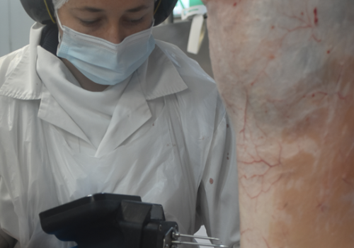 A new meat eating quality probe (MEQ) A new meat eating quality probe (MEQ)