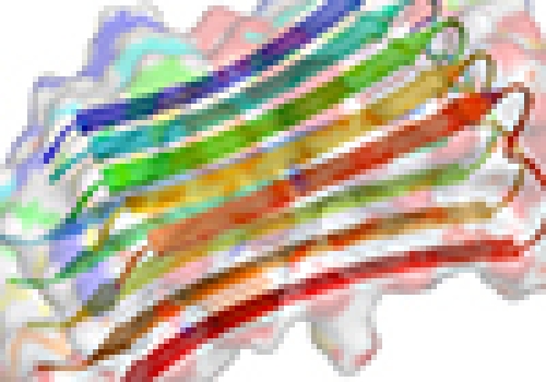 Amyloid fibrils can clump together to cause neurodegenerative diseases. Amyloid fibrils can clump together to cause neurodegenerative diseases.