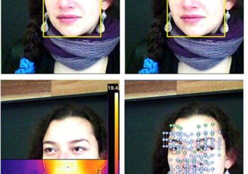 Image: Example of image and video analysis to automatically extract: face, eyes and pupil dilation; heart rate dynamics; Infrared thermography; and micro-facial movements. Image credit: The University of Melbourne. Image: Example of image and video analysis to automatically extract: face, eyes and pupil dilation; heart rate dynamics; Infrared thermography; and micro-facial movements. Image credit: The University of Melbourne.