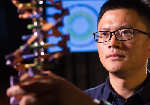 Image: Professor Jian Yang. Image provided by Professor Yang. Image: Professor Jian Yang. Image provided by Professor Yang.