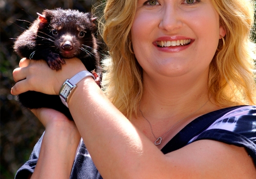 Image: Professor Kathy Belov holding a baby Tasmanian devil. Photo courtesy, Steve Merenos. A photograph of Professor Kathy Belov holding a baby Tasmanian devil.