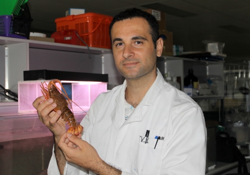 Image courtesy: Dr Tomer Ventura, University of the Sunshine Coast. Image courtesy: Dr Tomer Ventura, University of the Sunshine Coast.