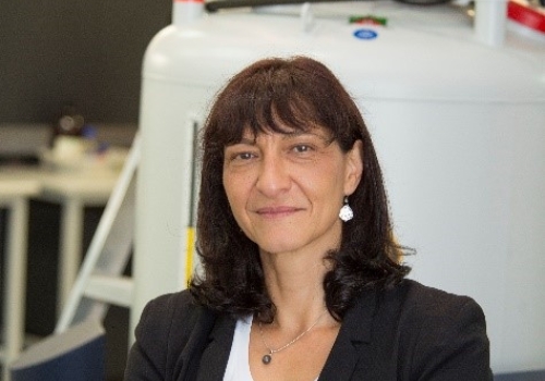 Professor Maria Forsyth. Credit: Donna Squire/Deakin University. Professor Maria Forsyth. Credit: Donna Squire/Deakin University.