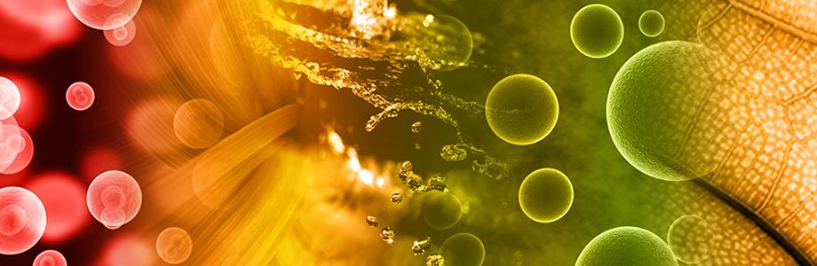 EI promotional banner EI banner