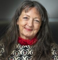 Professor Maureen Dollard