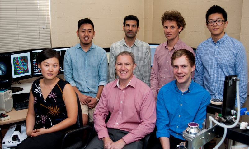 The research team:Top row from left: Jason Jung, Ali Almasi (joint  1st author), Hamish Meffin (joint 1st author), Scott Sun. Bottom row: Molis  Yunzab, Michael Ibbotson (Lab Head), Mitchell Crawford (lab technician).  Credit: ARC Centre of Excellence for Integrative Brain Function.