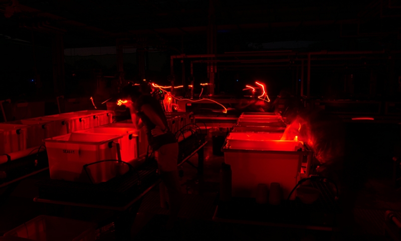 To avoid disrupting the light-sensitive corals, researchers wear red headlamps as they work in the National Sea Simulator during coral spawning. 