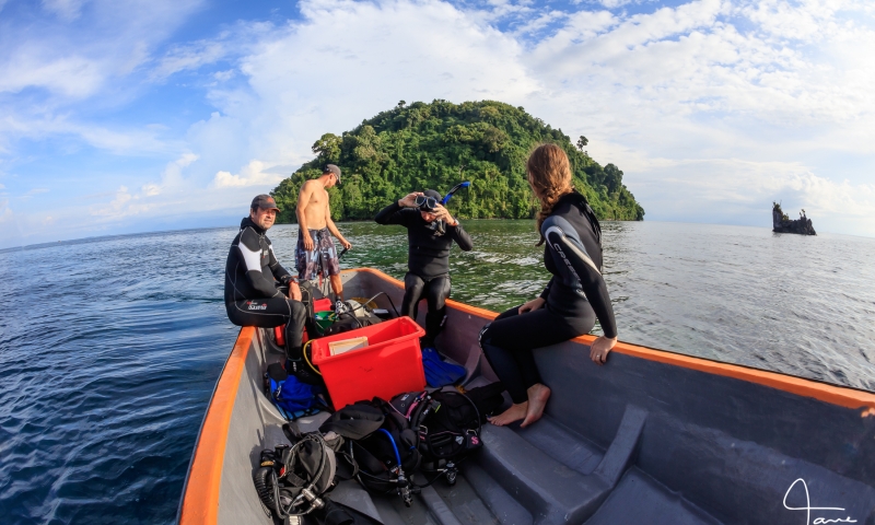 The research team at Kimbe Bay in 2017. Credit: Tane Sinclair-Taylor.
